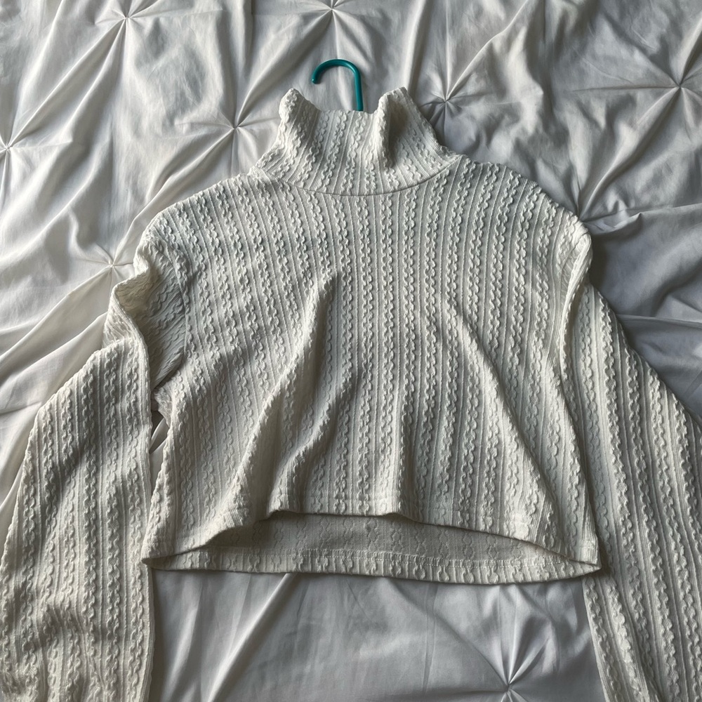 Cropped long sleeve turtleneck